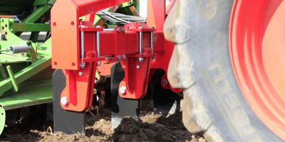 Knoche Wisent / Bison