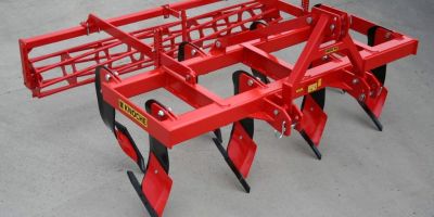 Knoche Wisent / Bison