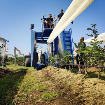 Самоходный ягодоуборочный комплекс KOKAN 600T