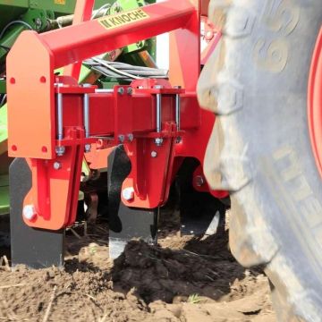 Knoche Wisent / Bison