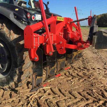 Knoche Wisent / Bison